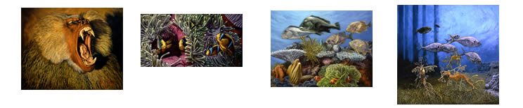 nature thumbnails 1