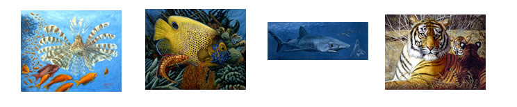 nature thumbnails 2