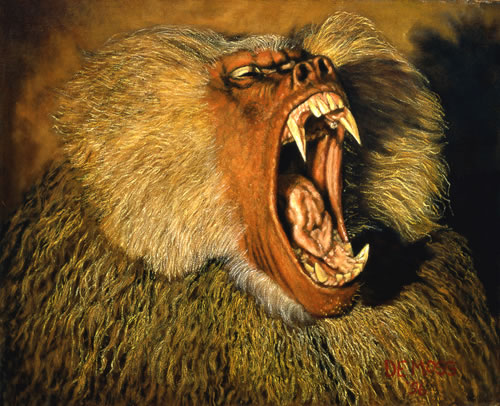 Hamadryas Baboon jpg
