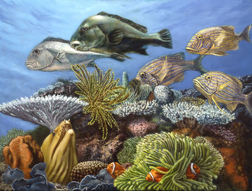 Coralhead jpg