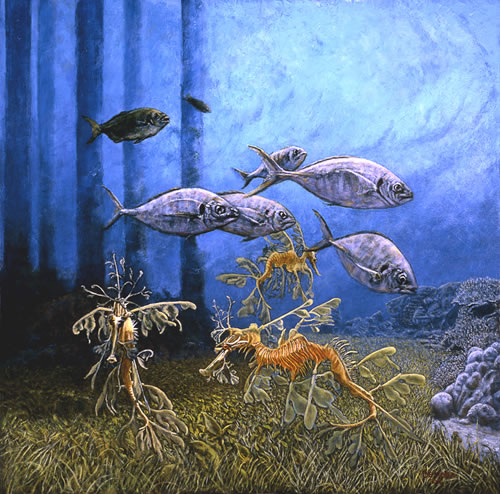 Leafy Sea Dragons &  Jacks jpg