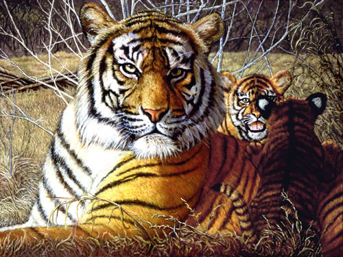 Tiger & Cubs jpg